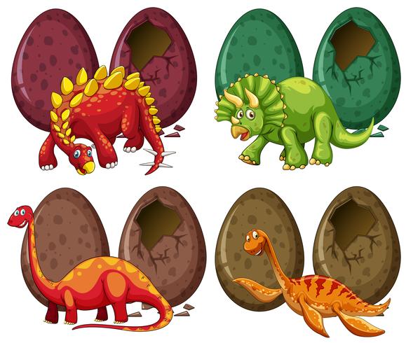 Cuatro tipos de dinosaurios y huevos. vector