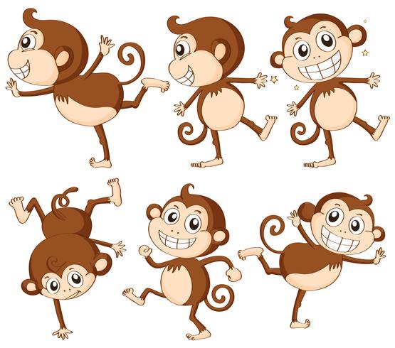 Monkey set vector