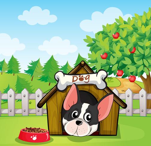 A dog inside a dog house at a backyard with an apple tree vector