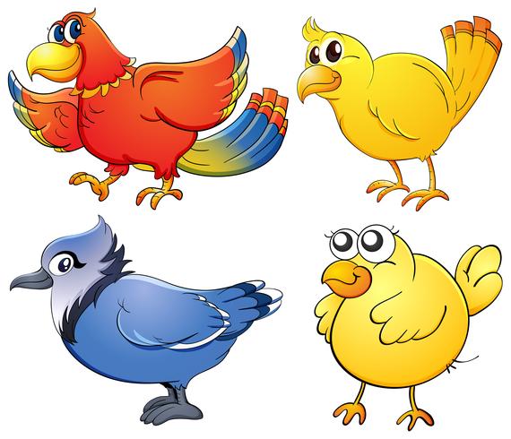 Birds vector