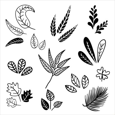 Set of vintage style leaves. vector