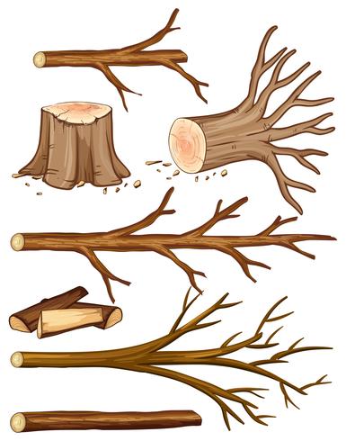 Firewood and stump trees  vector