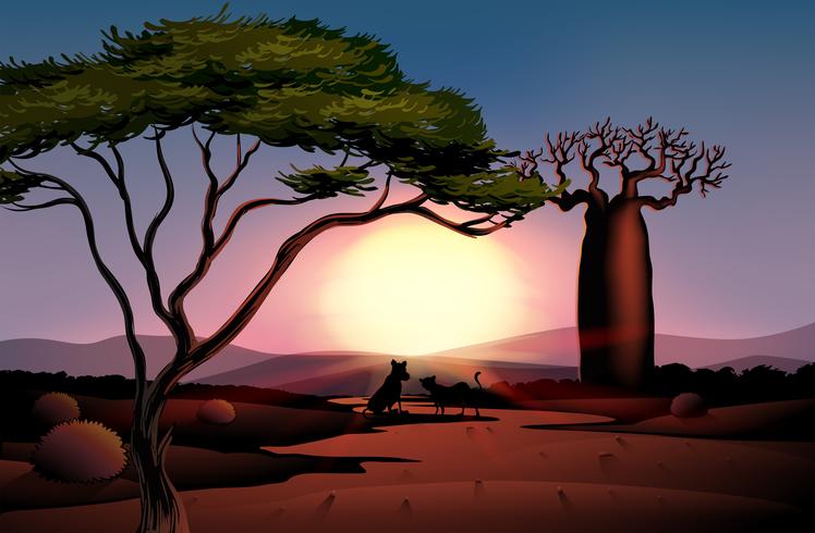 A sunset in the desert with two animals vector