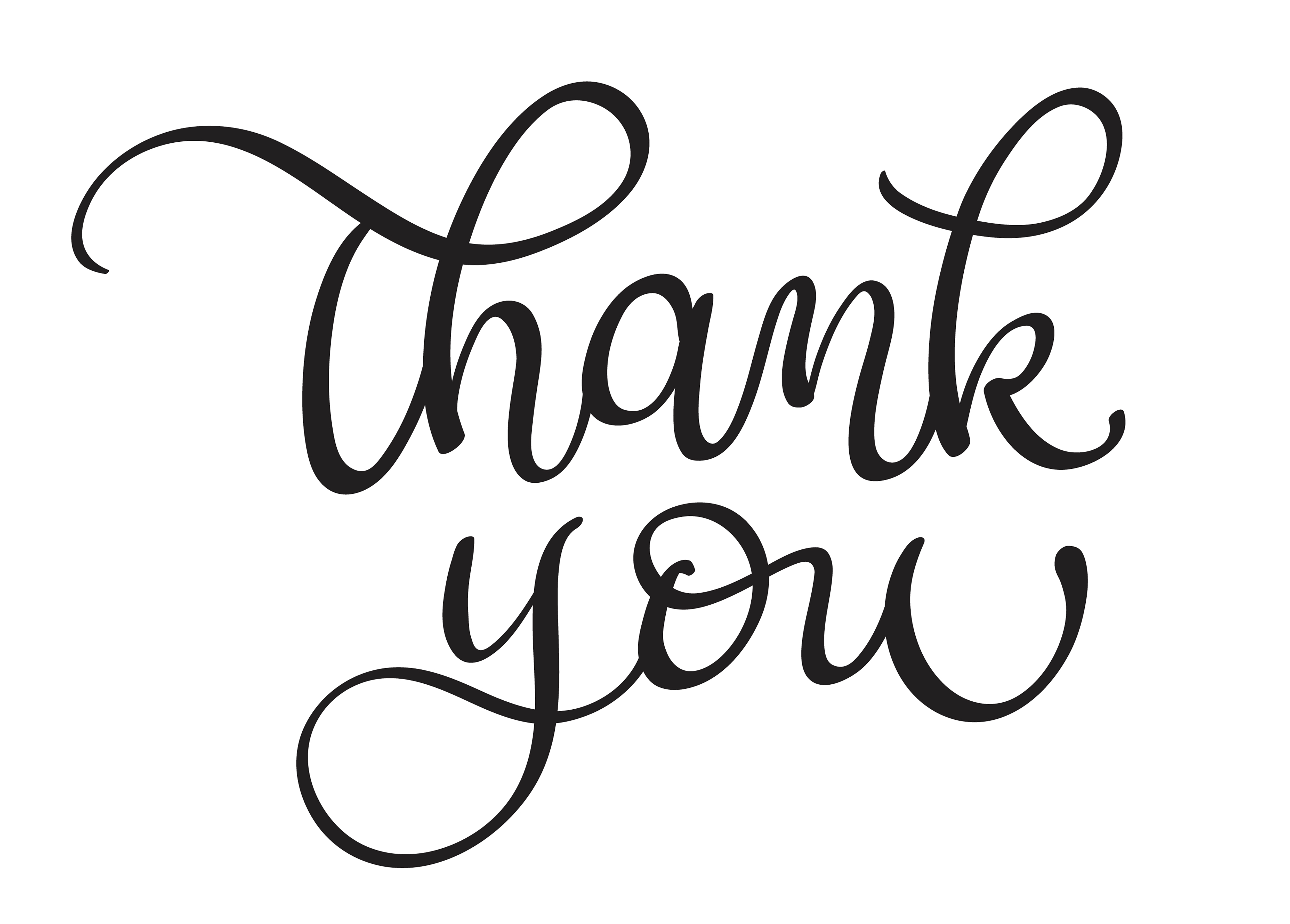 Thank you text on white background. Calligraphy lettering Vector ...