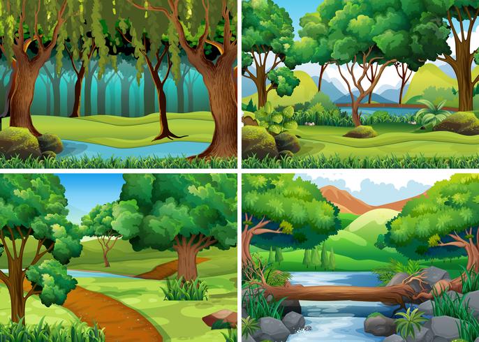 Cuatro escenas de bosque y rio. vector