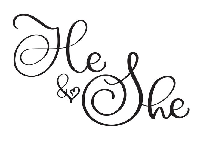 He and She text on white background. Hand drawn vintage Calligraphy lettering Vector illustration EPS10