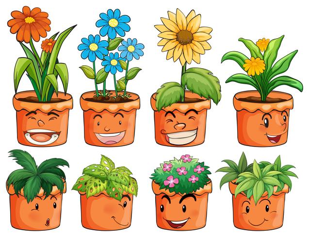 Different types of plant in clay pots vector