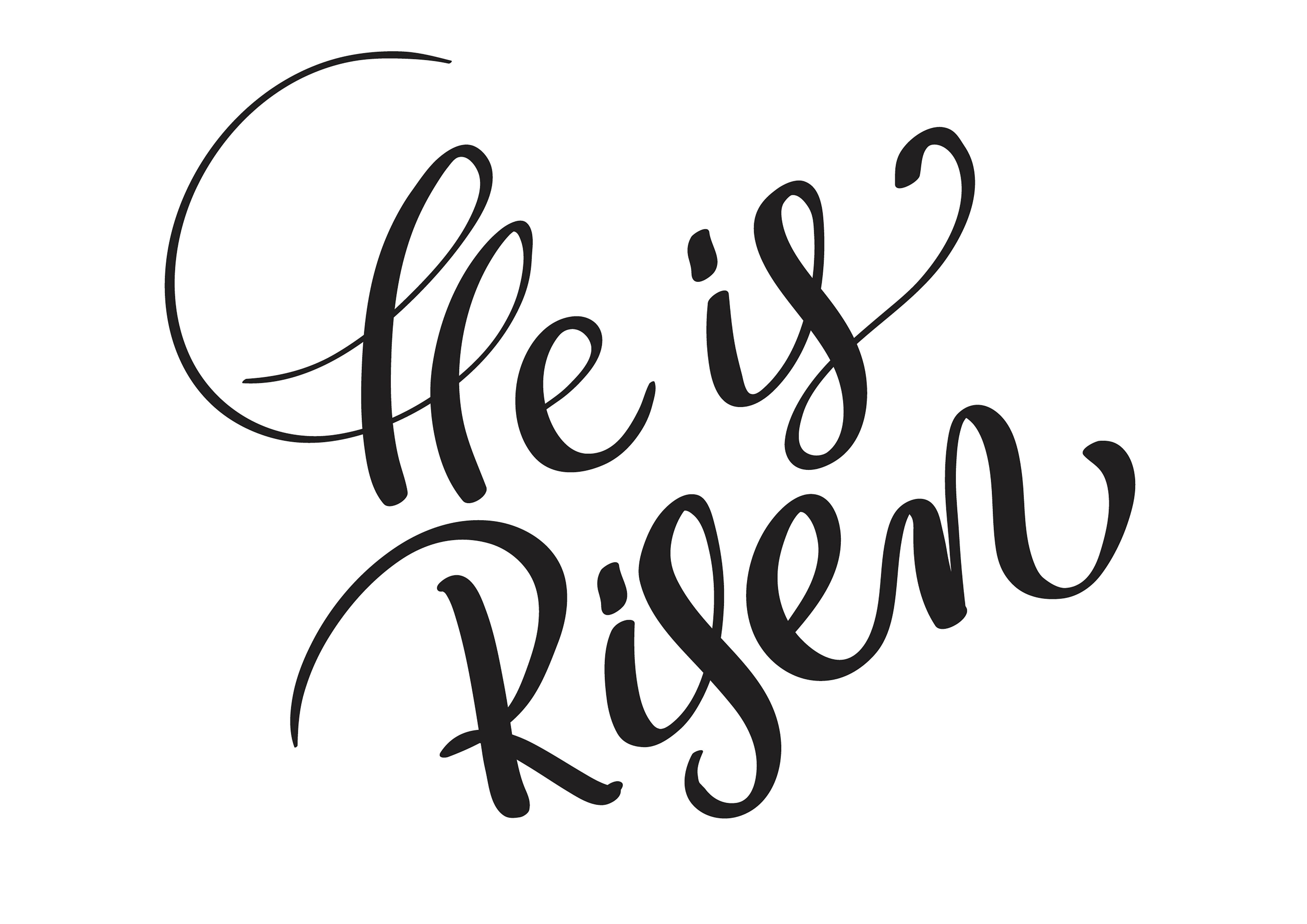 He is risen text isolated on white background. calligraphy and