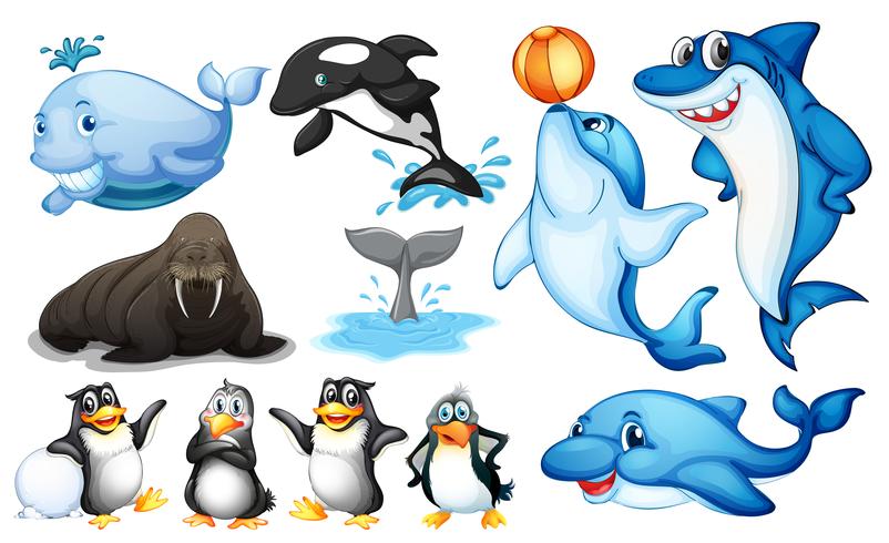 Sea creatures vector