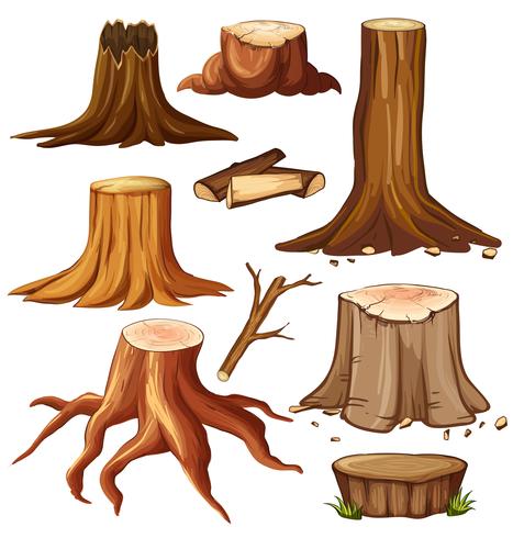 Different stump trees on white background vector