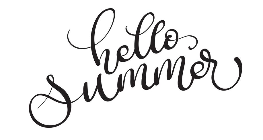 hello summer vector text on white background. Calligraphy lettering illustration EPS10