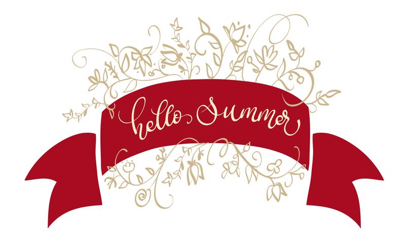 text hello summer vector on red frame. Calligraphy lettering illustration EPS10
