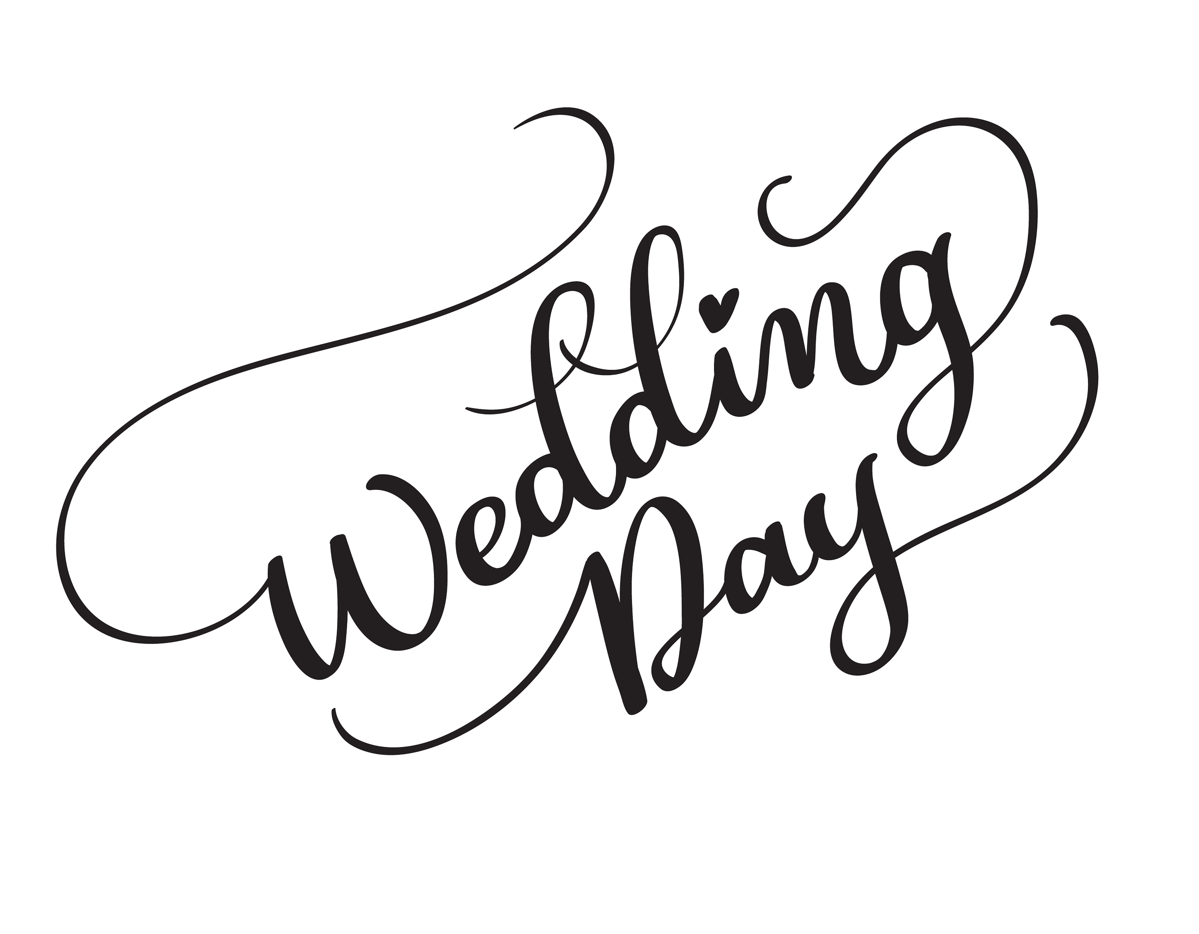 Download wedding day vector text on white background. Calligraphy lettering illustration EPS10 - Download ...