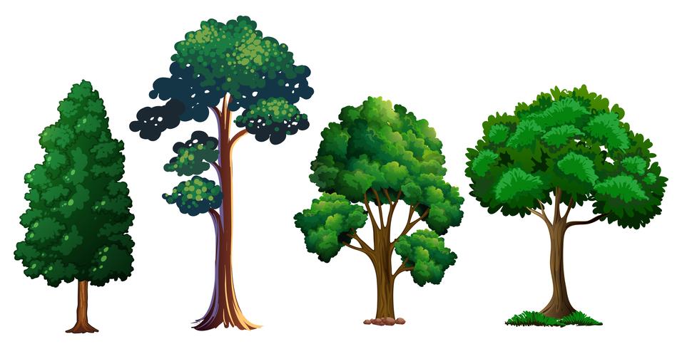 Set of different tree vector