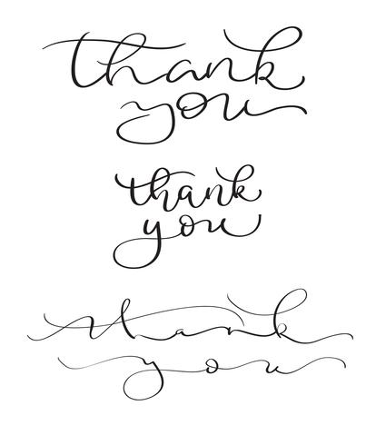 set of Hand drawn Vector Thank you text on white background. Calligraphy lettering illustration EPS10