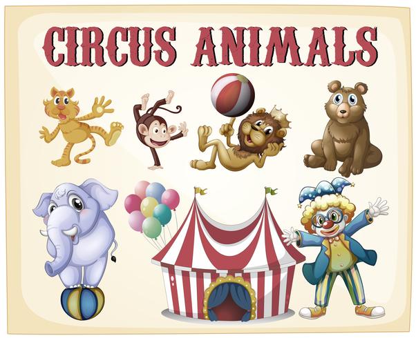 Animales de circo vector