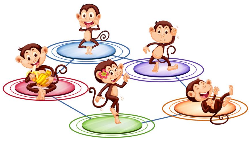 Monkeys standing on round plates vector