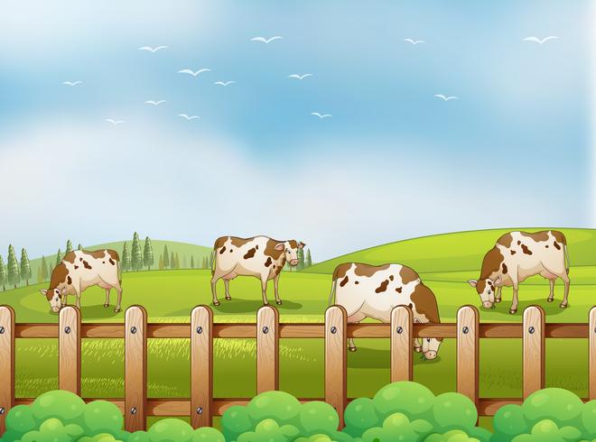 A farm with cows vector