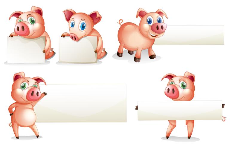 Paper template with pig vector