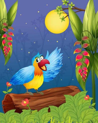 A colorful parrot in the middle of the woods vector