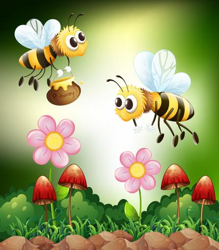 Download Bee and honey - Download Free Vectors, Clipart Graphics ...