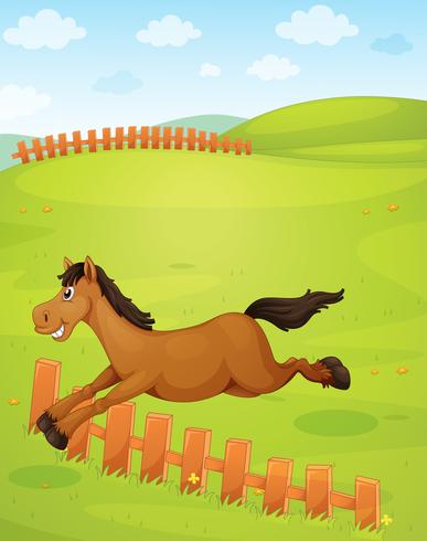 Un caballo vector