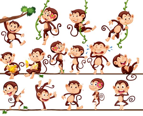 Monkeys doing different actions vector