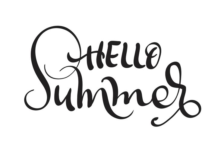 Hello Summer text isolated on white background. calligraphy and lettering vector