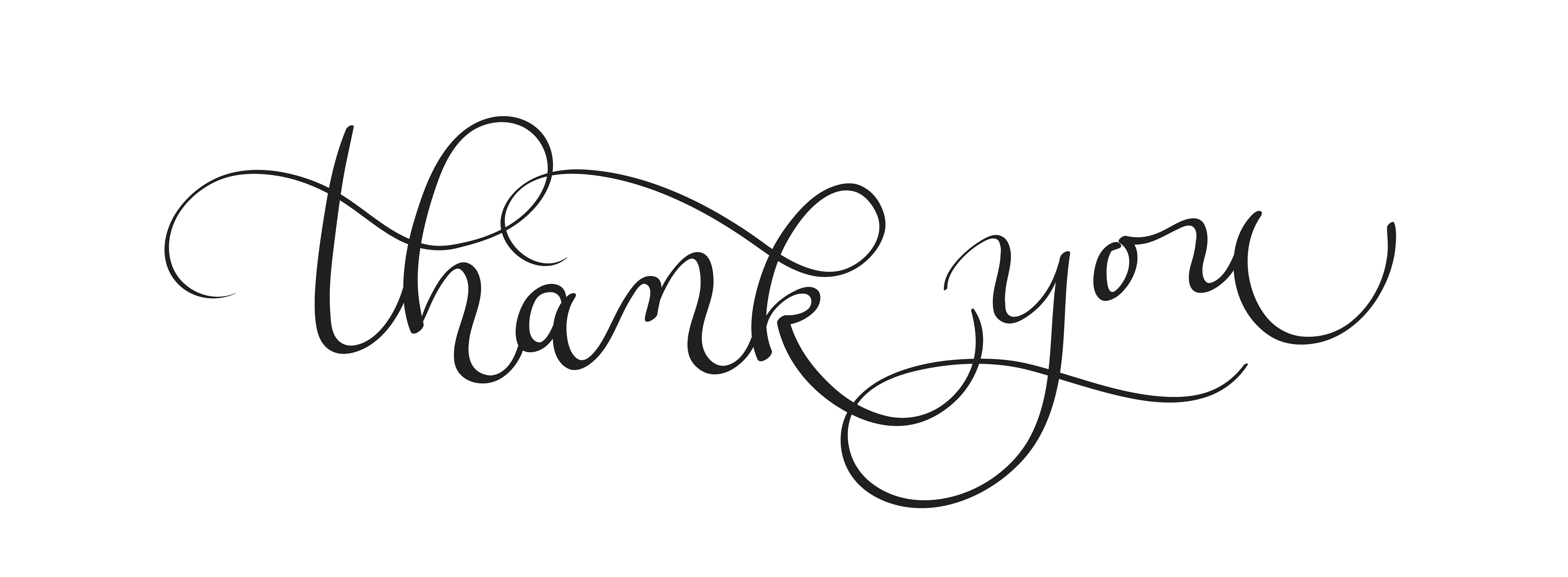 Thank you text on white background. Calligraphy lettering Vector
