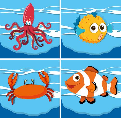 Diferentes tipos de animales marinos. vector