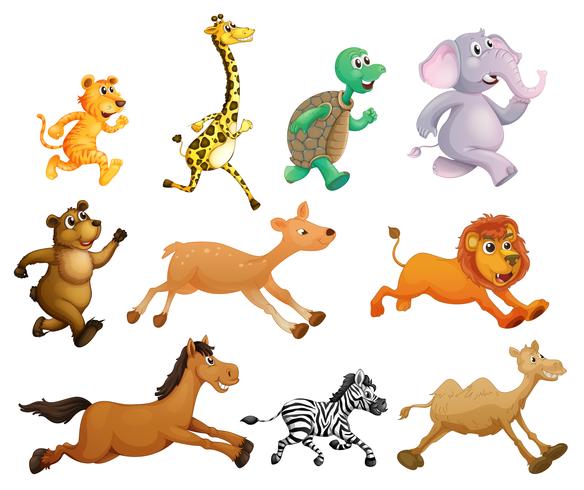 Download Running animals 417214 - Download Free Vectors, Clipart Graphics & Vector Art