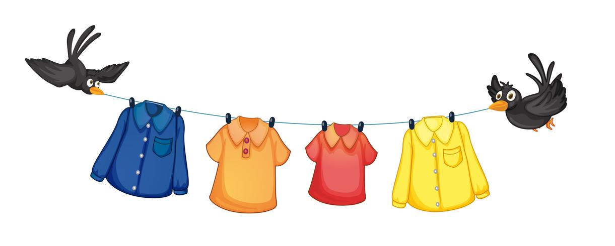 Four different clothes hanging with birds vector