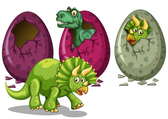 Three types of dinosaurs hatching eggs vector