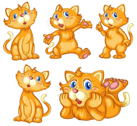 Cat set vector