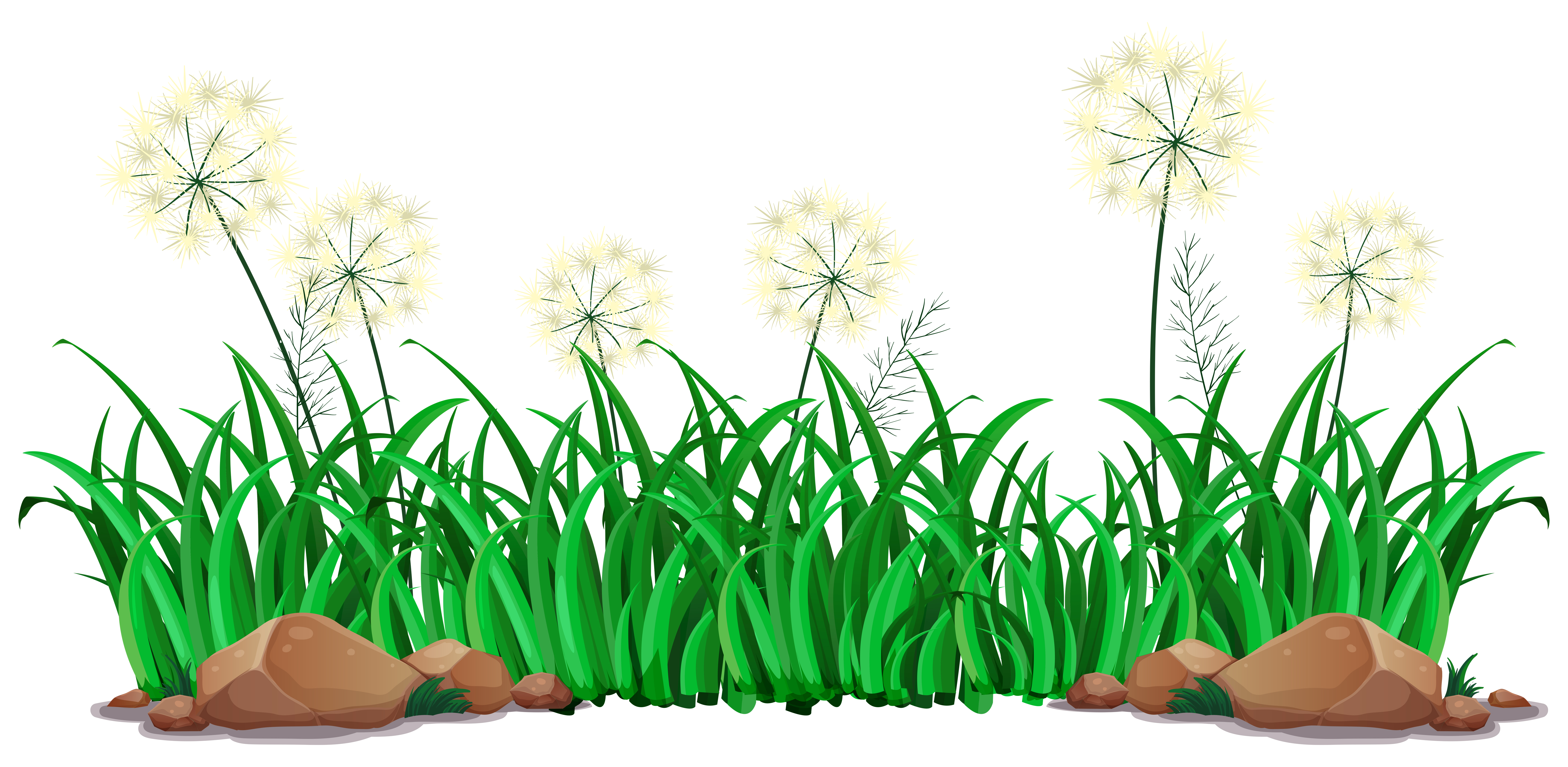 Getrenntes Gras auf weißem Hintergrund Kostenlosen Vektoren