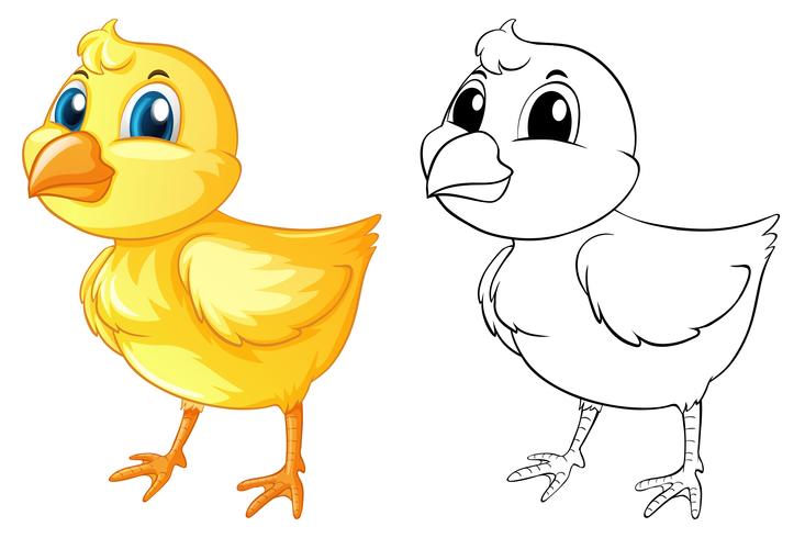 Doodle animal para pollito vector