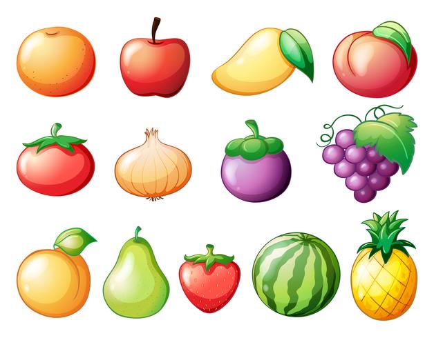 Diferentes tipos de frutas vector