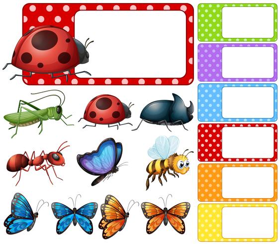 Label template with different types of insects vector