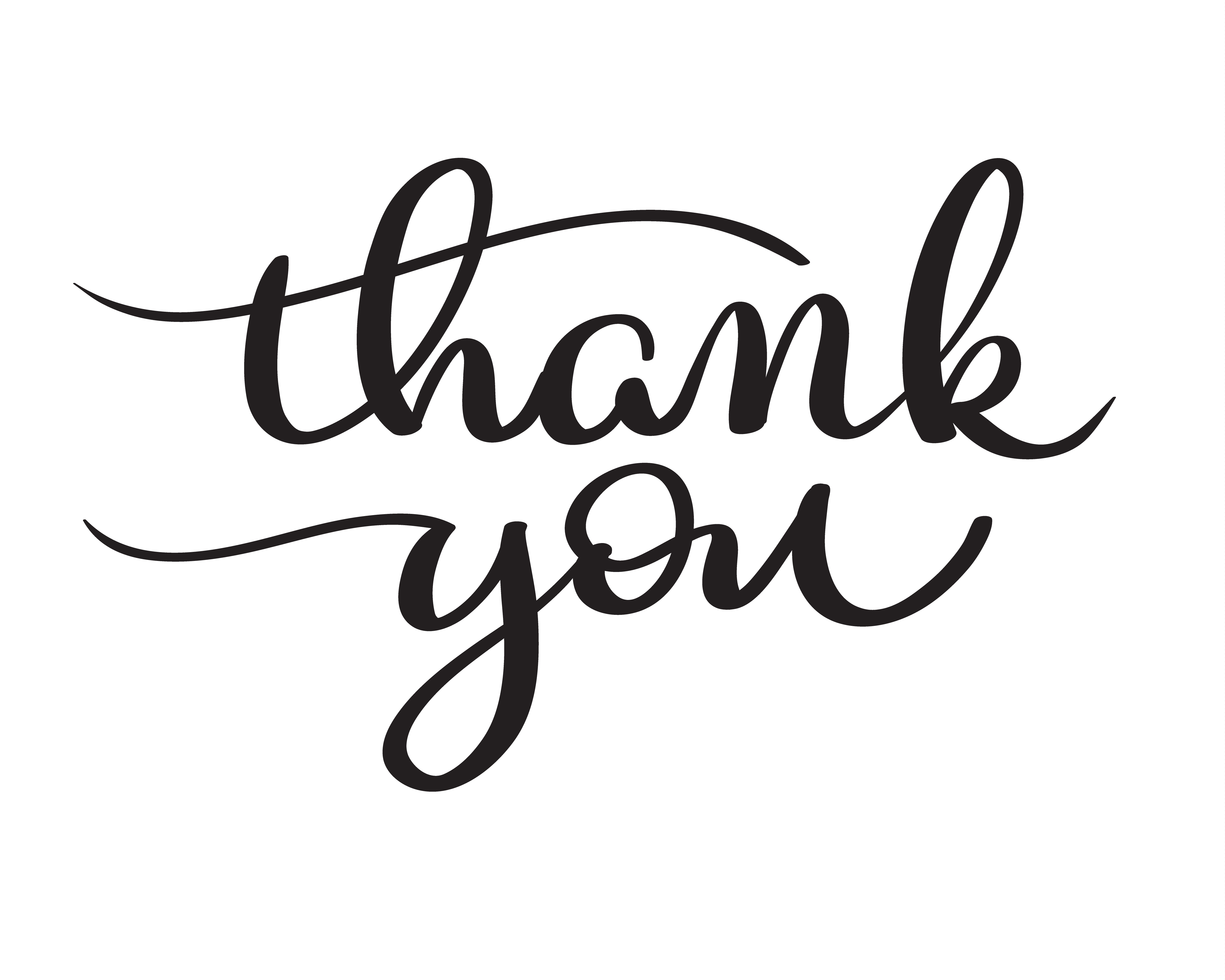 Hand drawn Vector Thank you text on white background ...