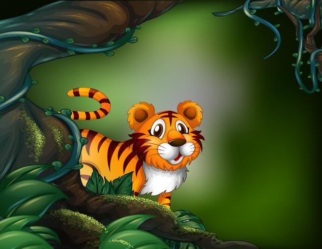 A rainforest with a tiger vector