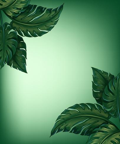 Greenery leaves vector