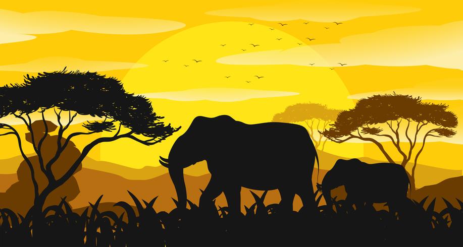 Background scene with silhouette elephants in the field vector