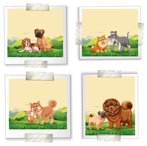 Dogs vector