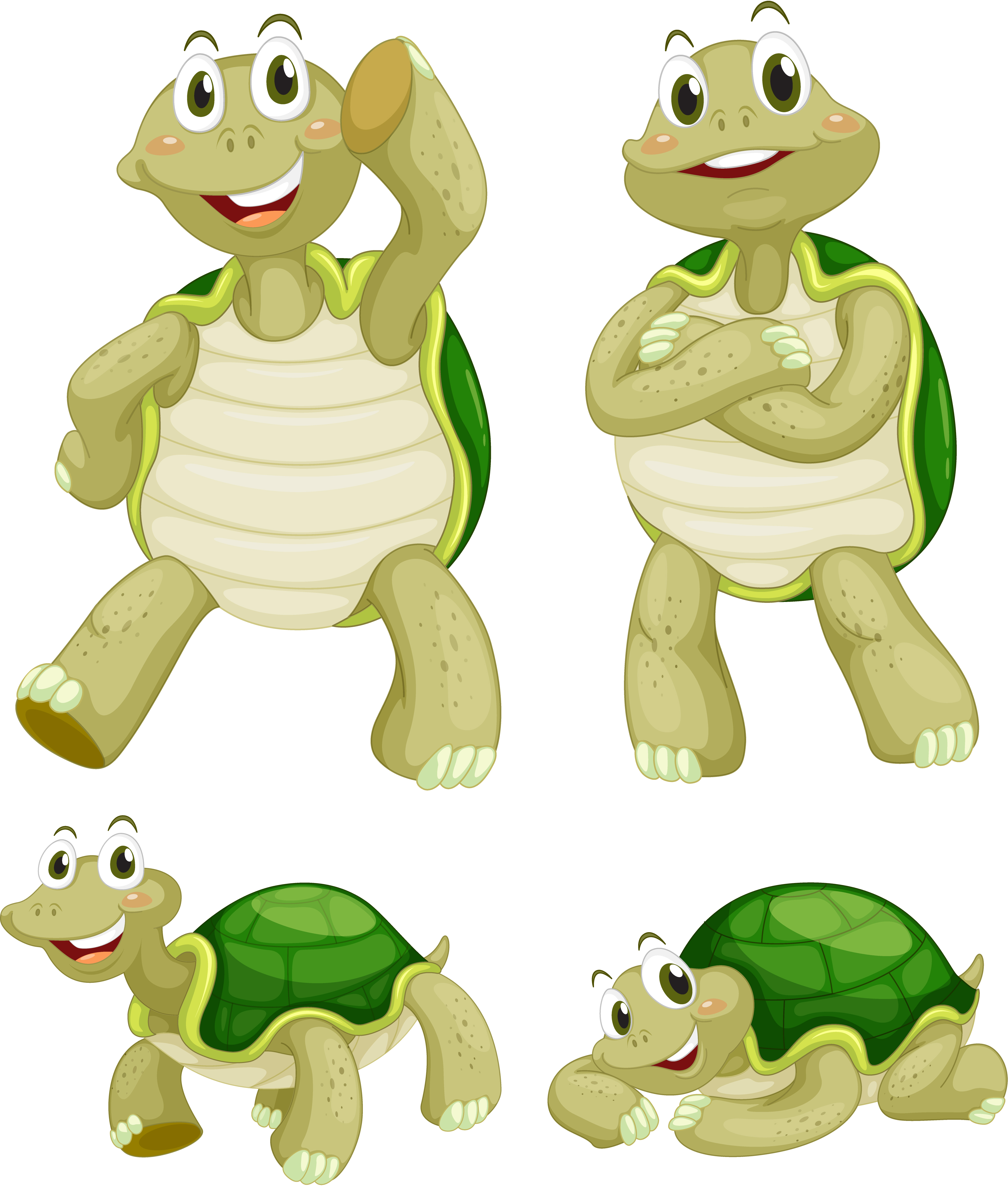 Turtles 417809 Download Free Vectors, Clipart Graphics