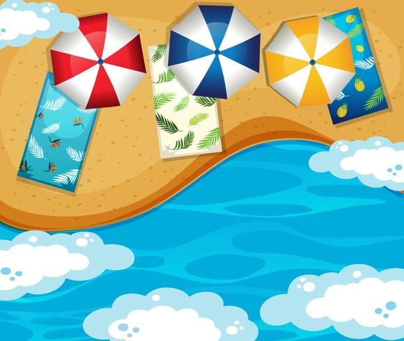 A tropical beach aerial view vector
