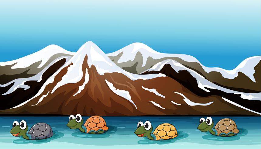 Turtles moving slowly vector