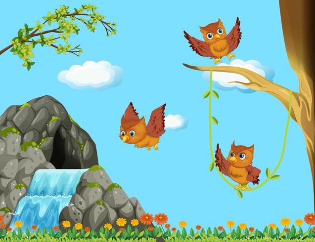 Three owls flying at the waterfall vector