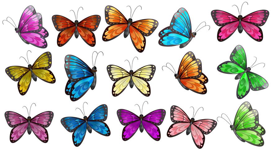 Mariposas de colores vector