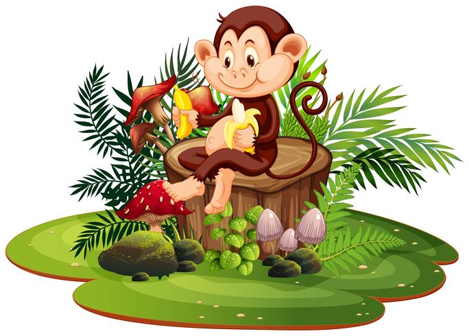 Isolated monkey in nature vector