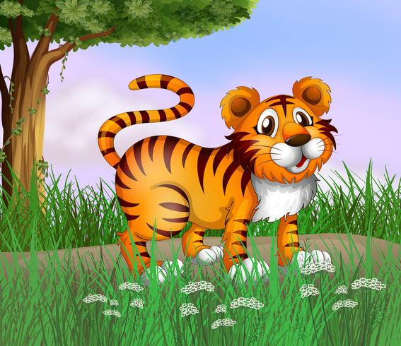 A tiger and a beautiful nature vector